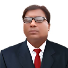 R.K.Raman RkRaman Image